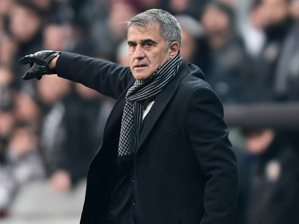 Шенол Гюнеш - тренер сборной Турции