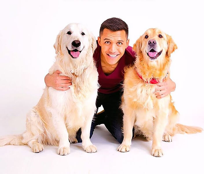 Алексис Санчес и его собаки