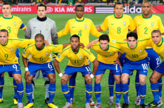 Сборная Бразилии на чемпионате мира 2010 года